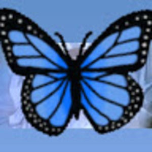 Meet your Posher, Melisa